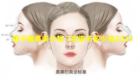银子隆鼻多少钱 1克银子多少钱2023